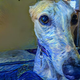 An image of a dog with swirling lines in an oil painterly style.